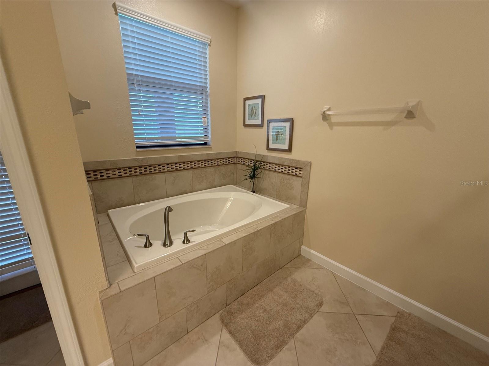 Image 10 of 24 For 9032 Shadow Mountain Street