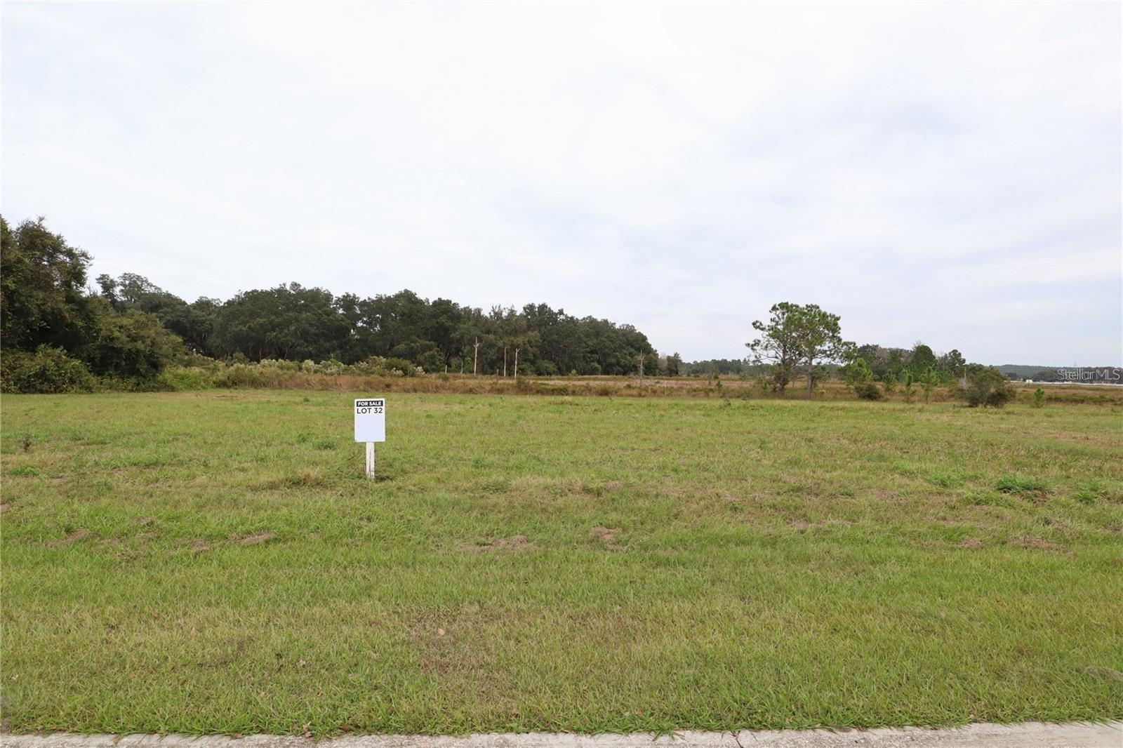 Details for 455 Long And Winding Road, GROVELAND, FL 34737