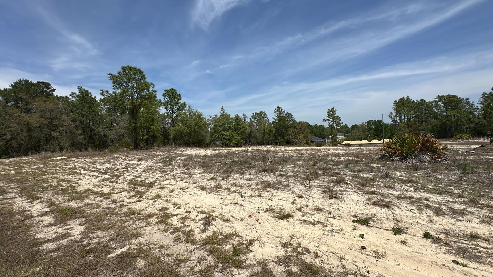Details for 155th Street Road, OCALA, FL 34473