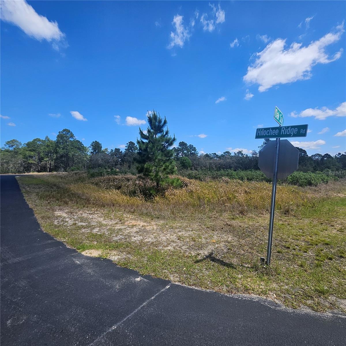 Image 3 of 8 For 1836 Hilochee Ridge Road