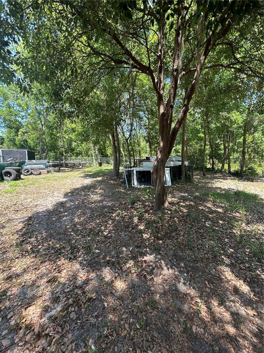 Image 3 of 6 For 1735 Grayson Drive
