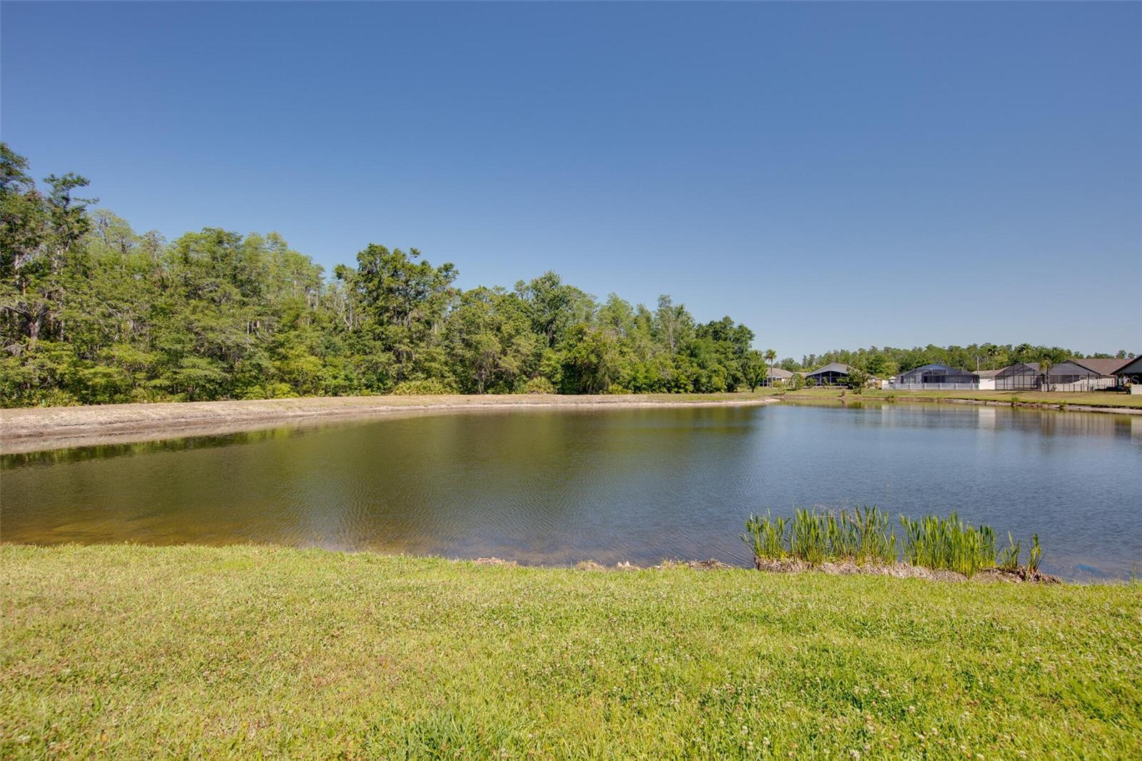 Image 21 of 27 For 31141 Harthorn Court