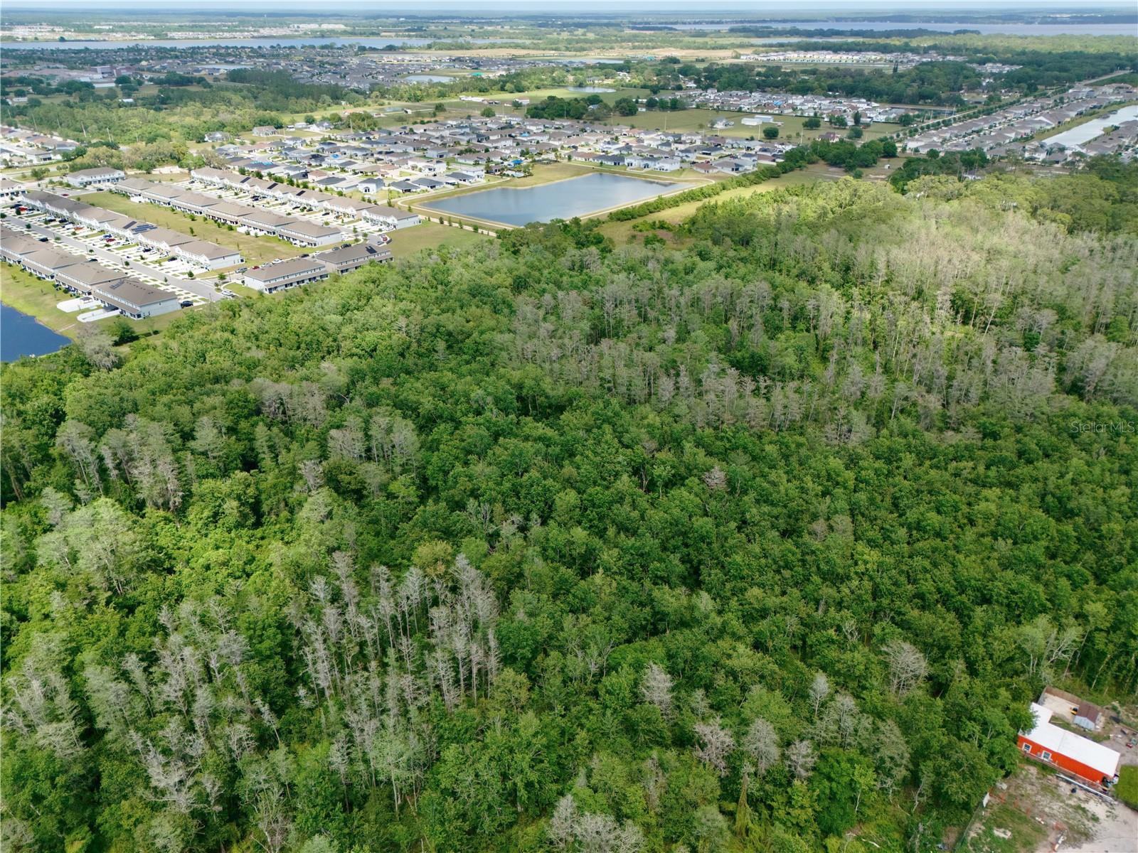 Image 10 of 22 For Hickory Tree Road