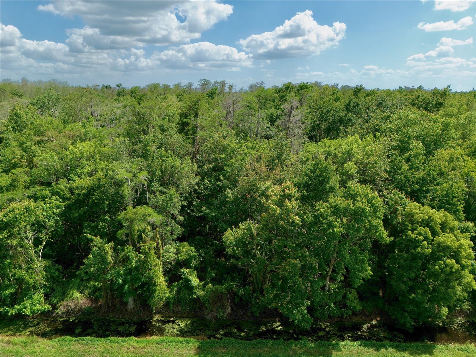 Image 3 of 22 For Hickory Tree Road