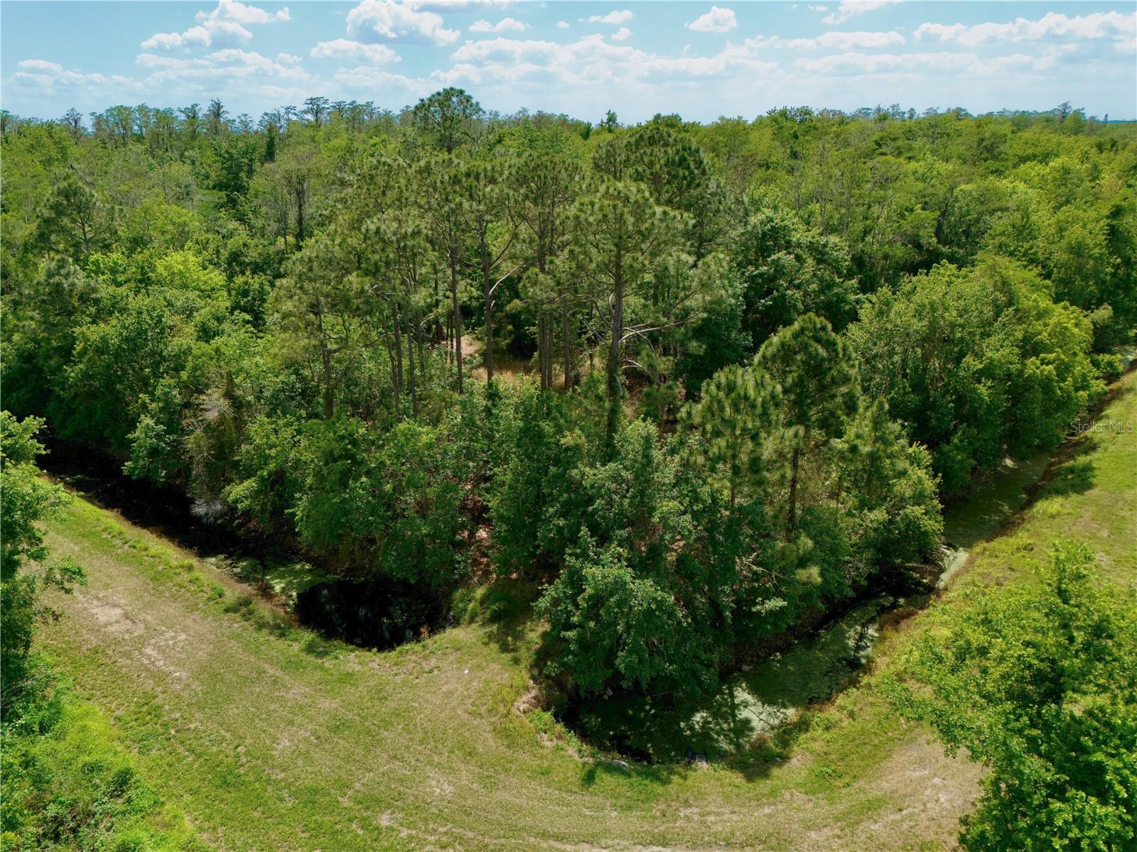 Image 4 of 22 For Hickory Tree Road