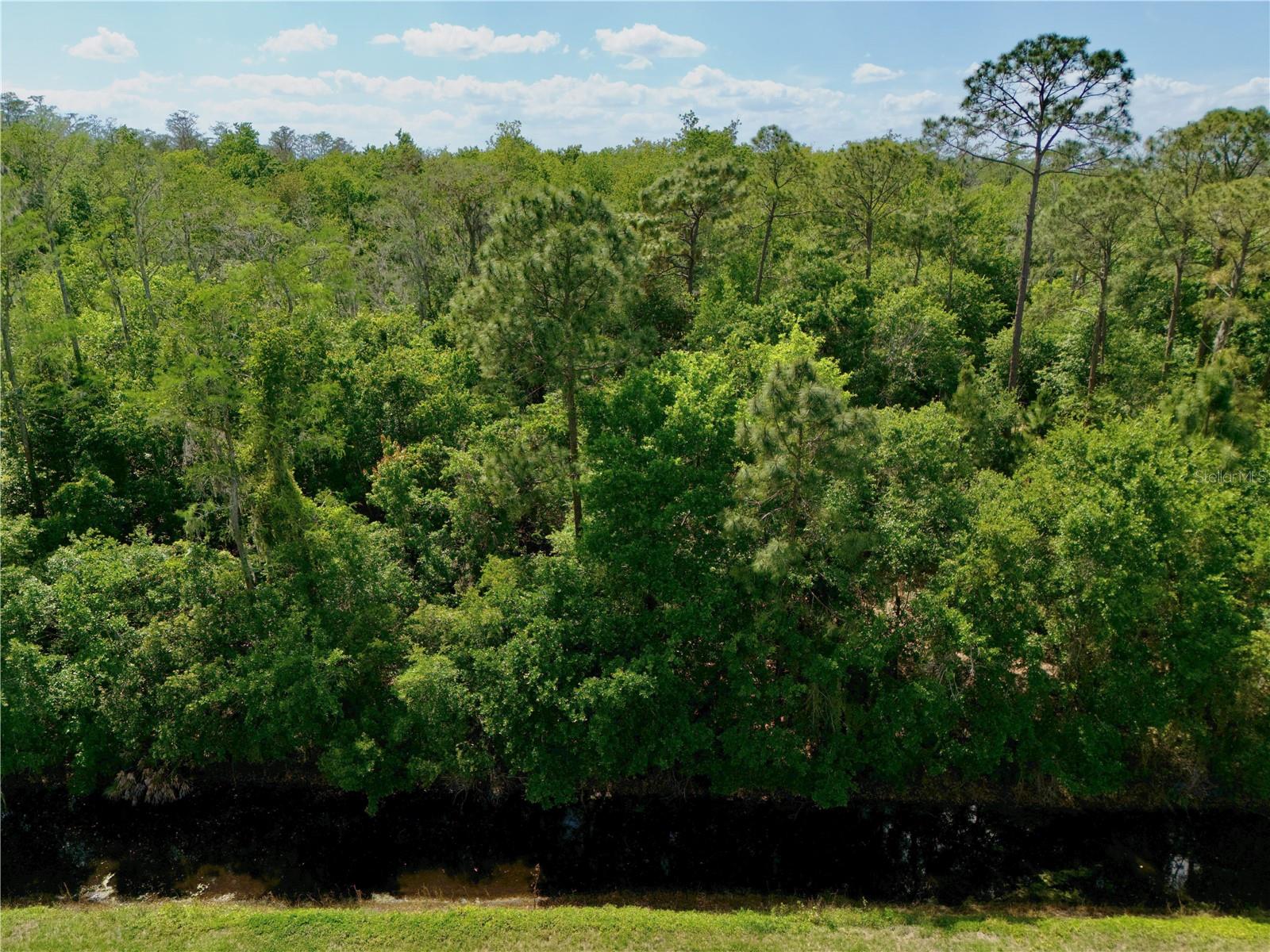 Image 5 of 22 For Hickory Tree Road
