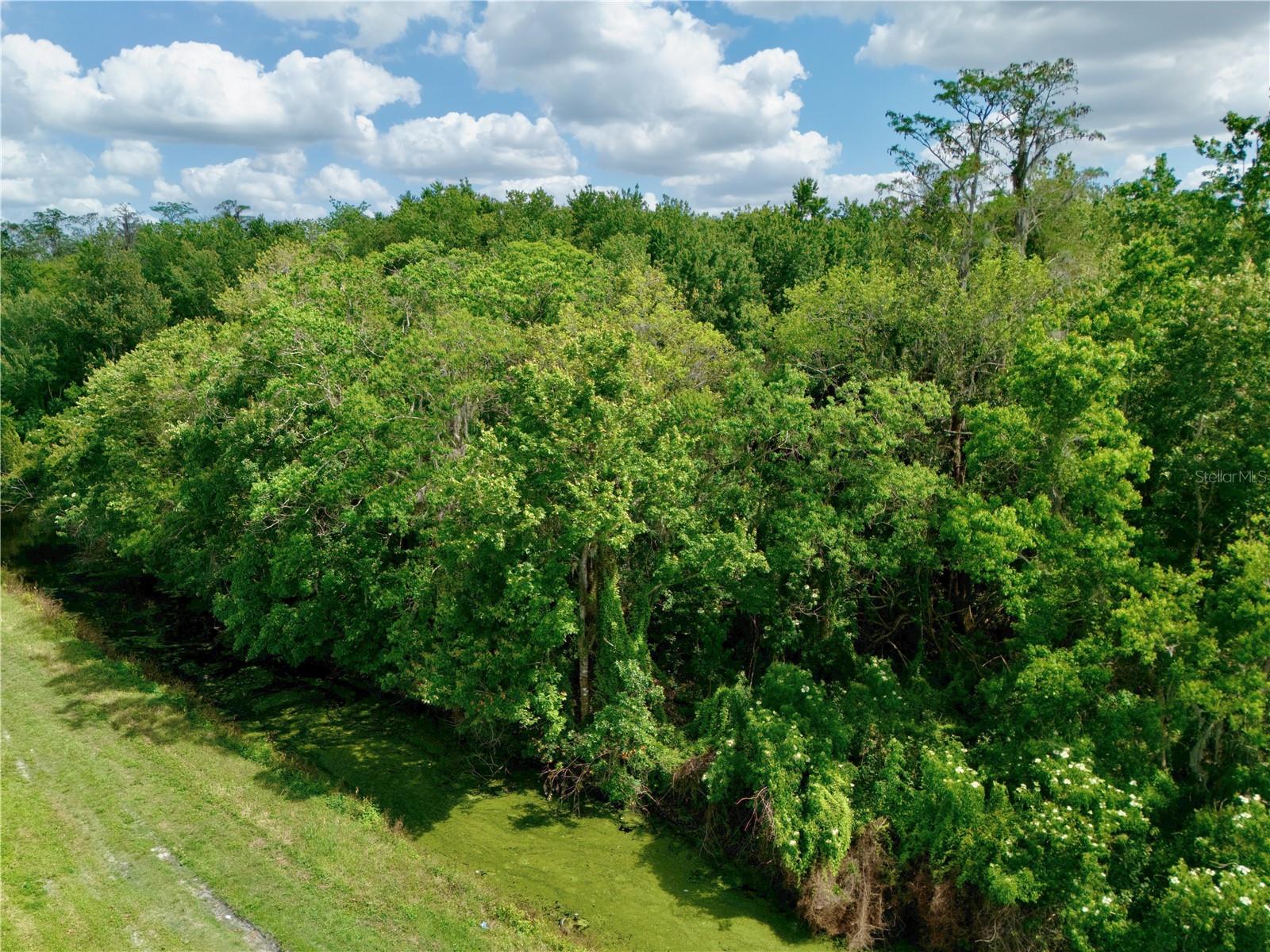 Image 6 of 22 For Hickory Tree Road