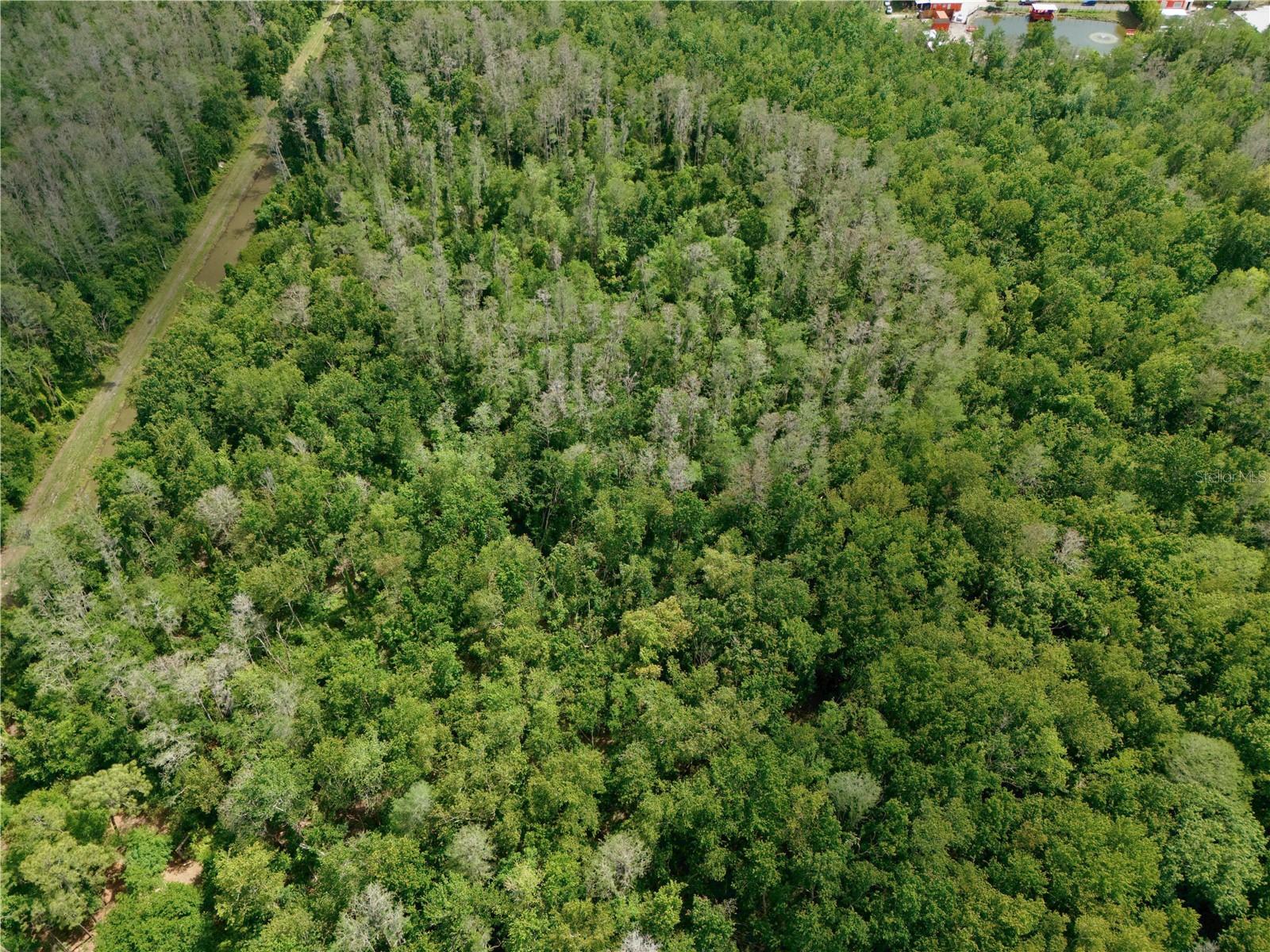 Image 7 of 22 For Hickory Tree Road