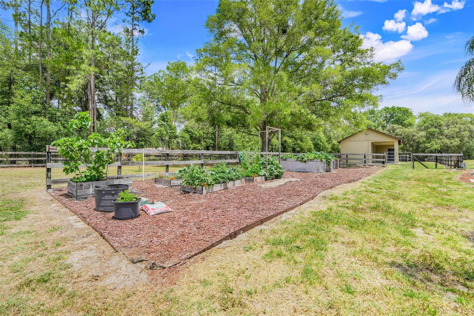 Image 32 of 42 For 32510 Wolf Branch Lane