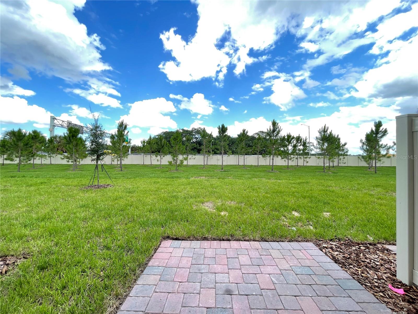 Image 11 of 26 For 2475 Sweet Viburnum Way