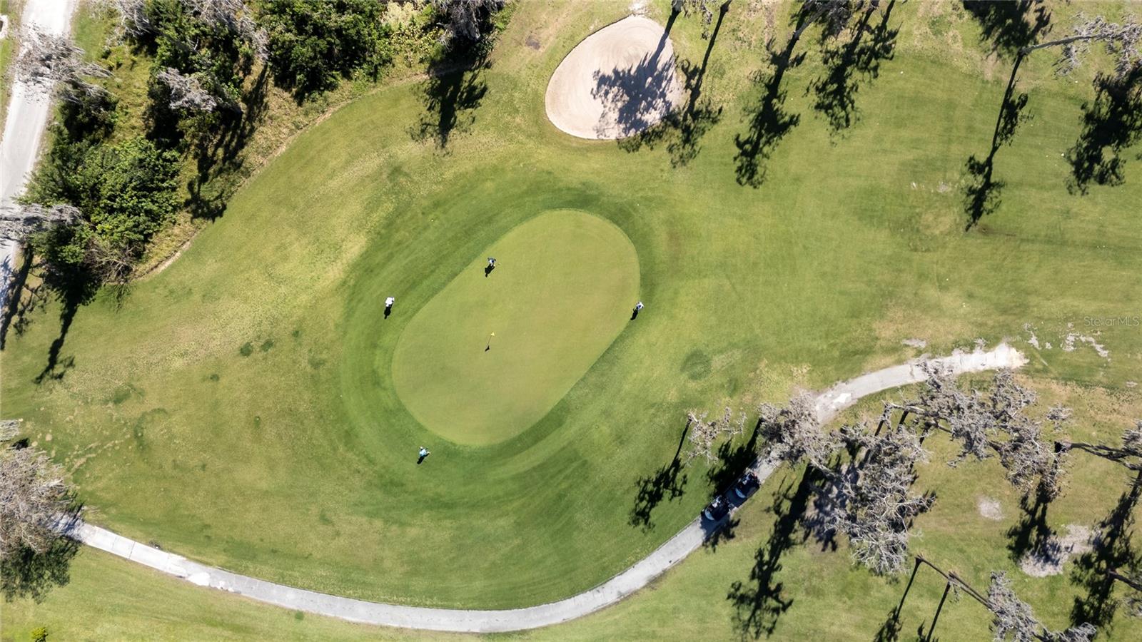 Image 11 of 21 For Sabal Street