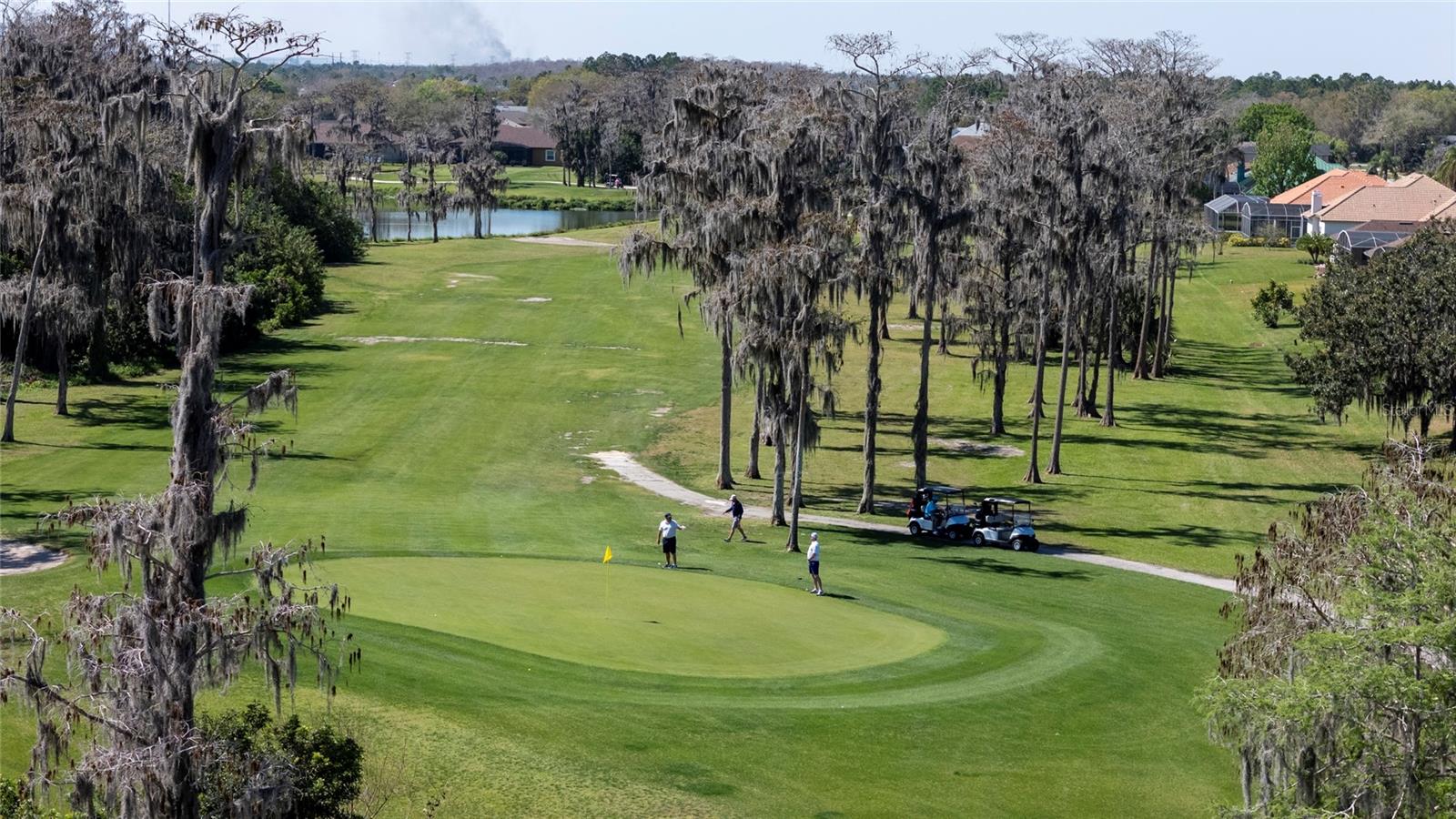 Image 12 of 21 For Sabal Street