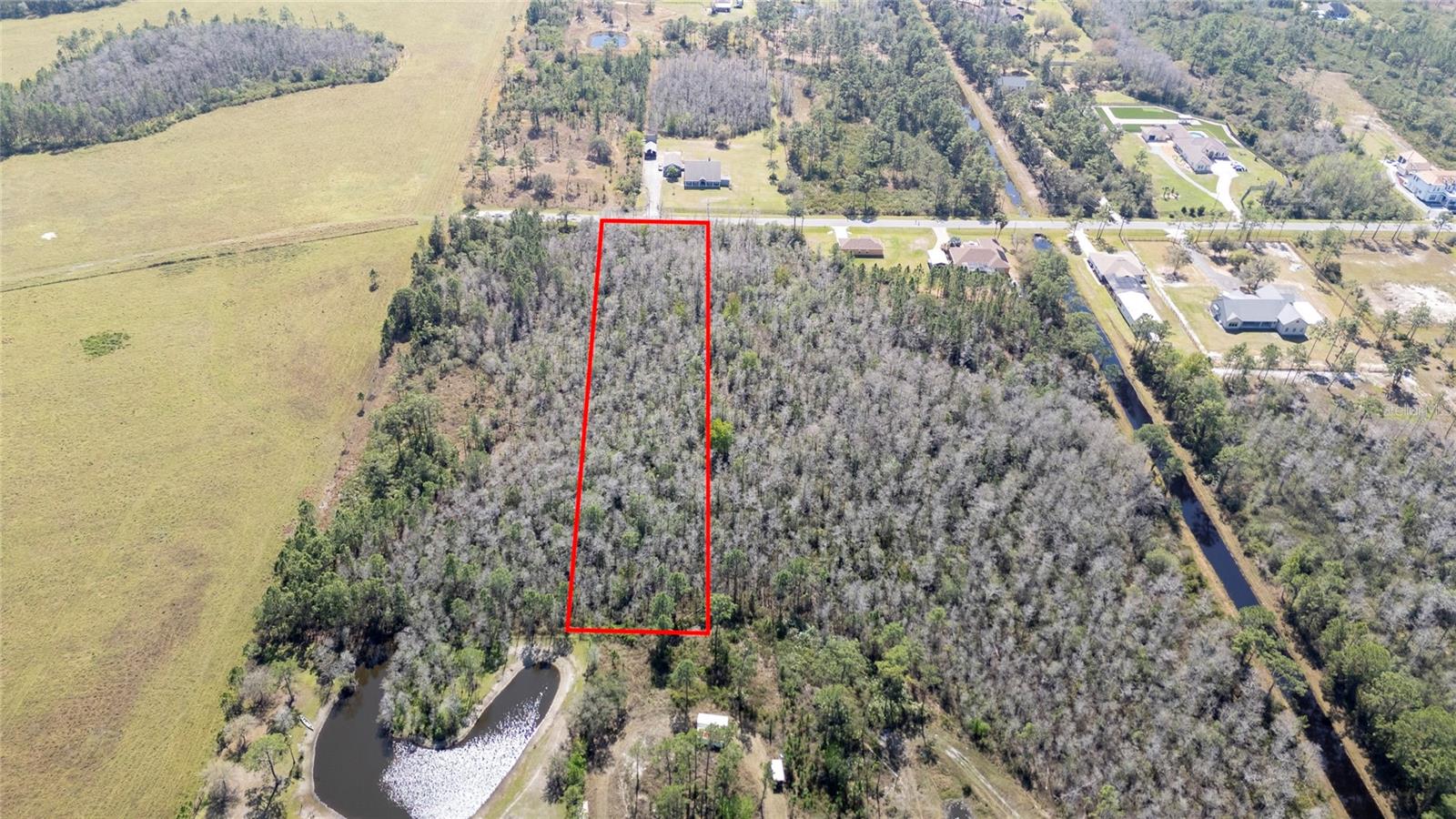 Image 6 of 21 For Sabal Street