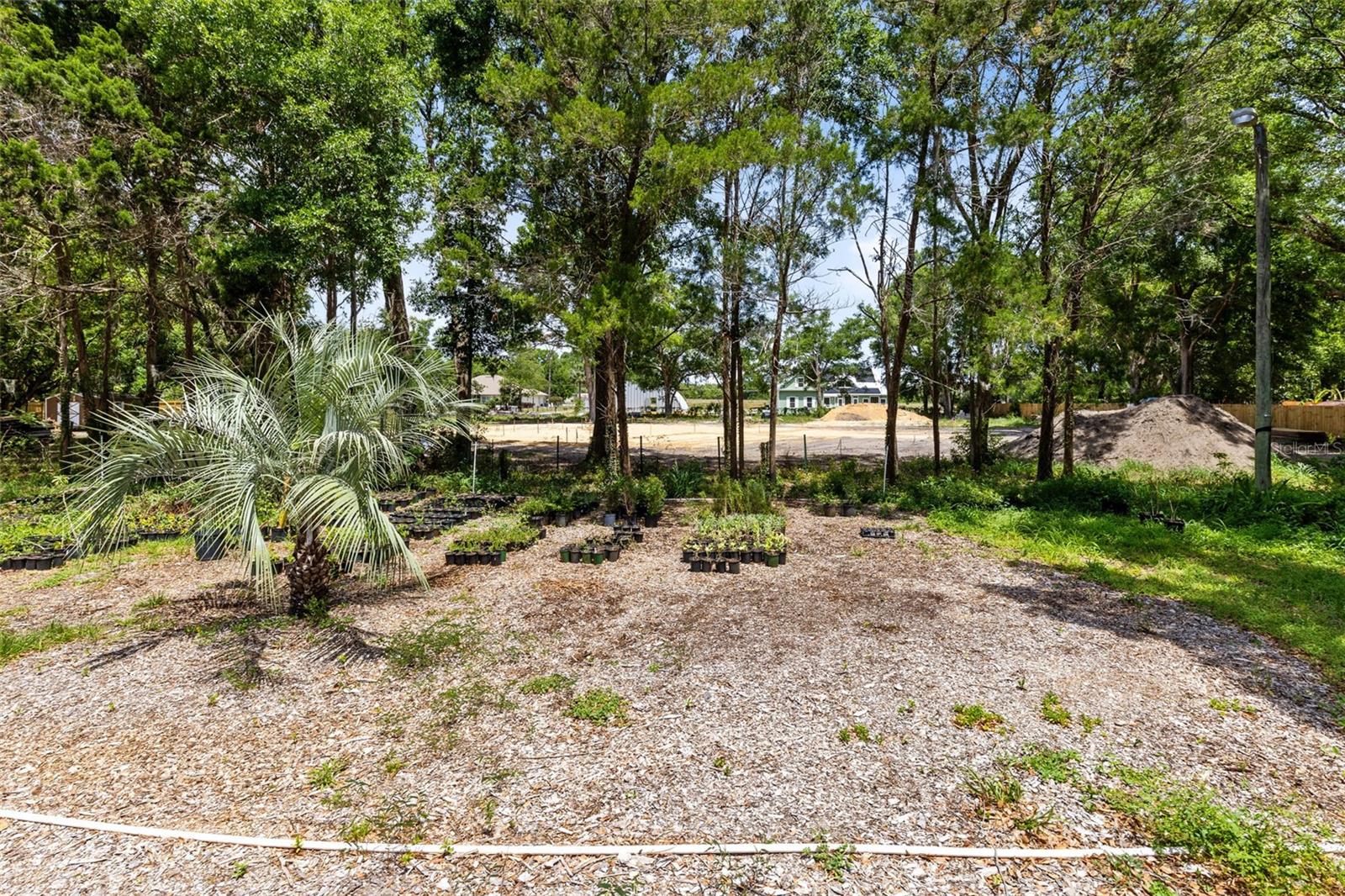 Image 27 of 36 For 6971 Earlwood Avenue