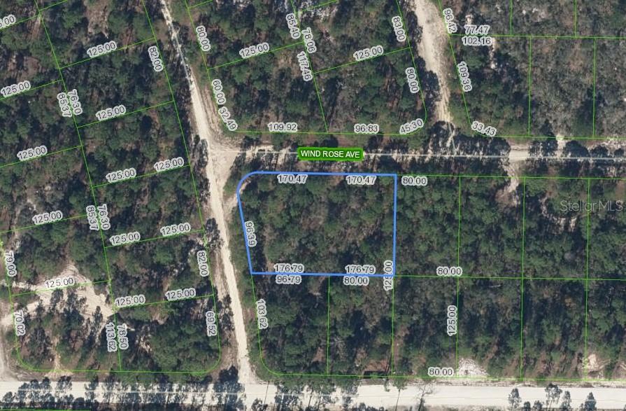 Image 2 of 7 For 401 Wind Rose Avenue