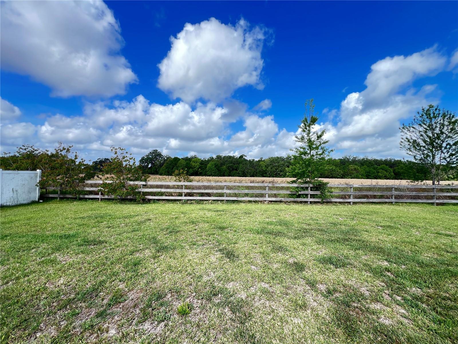 Image 31 of 31 For 9764 Pepper Tree Trail