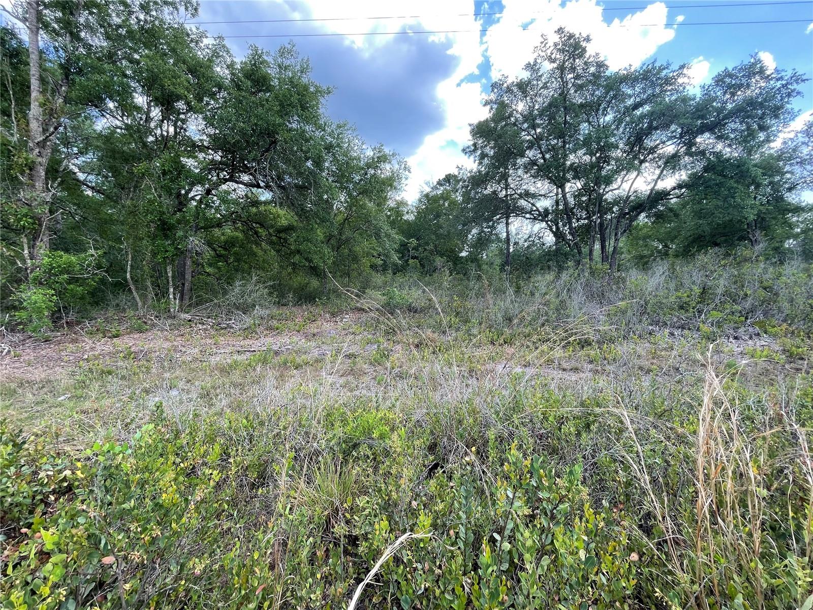 Image 3 of 13 For 8170 158 Lane