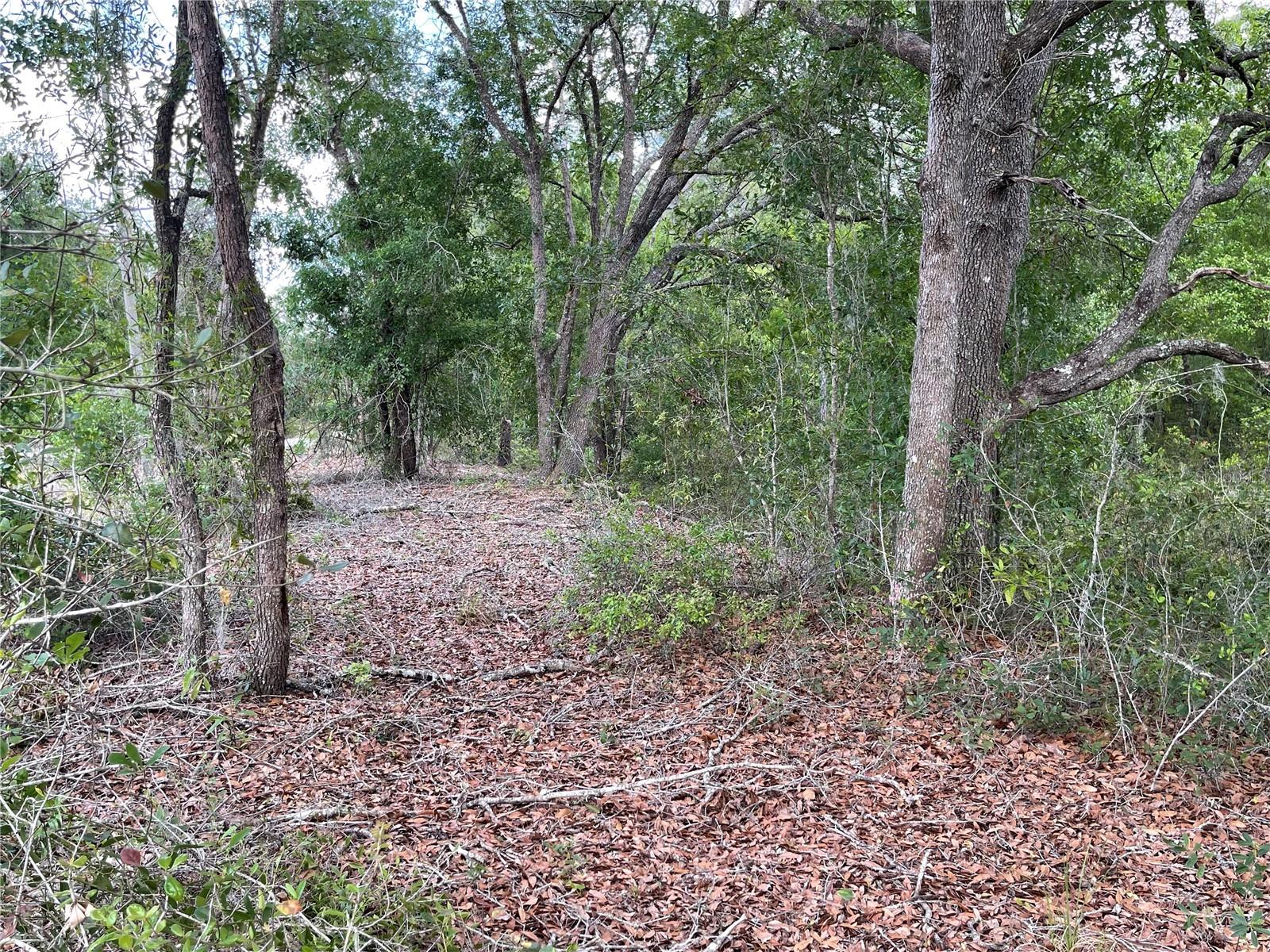 Image 4 of 13 For 8170 158 Lane