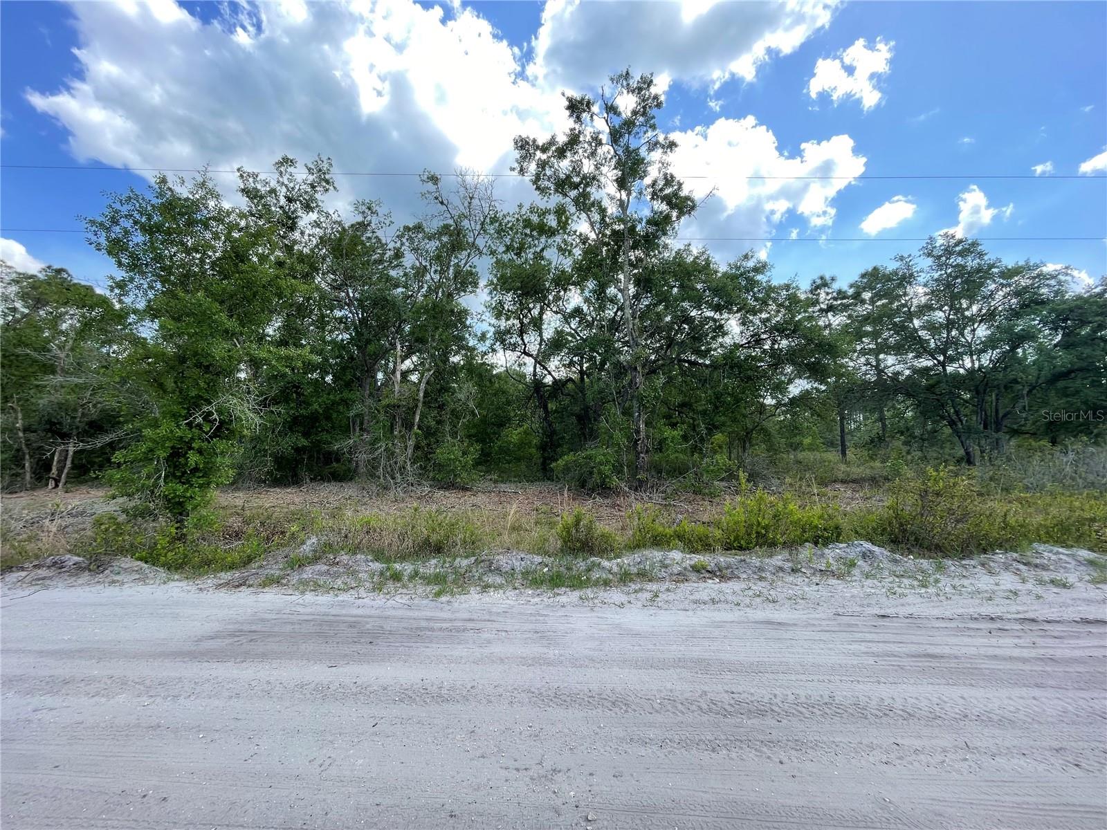 Image 5 of 13 For 8170 158 Lane