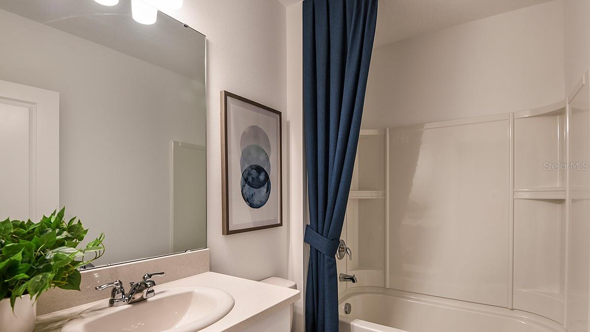 Image 19 of 27 For 4557 Ranunculus Street