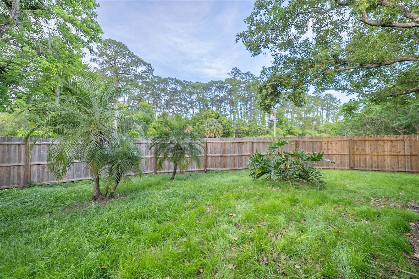 Image 29 of 34 For 4451 Brook Hollow Circle