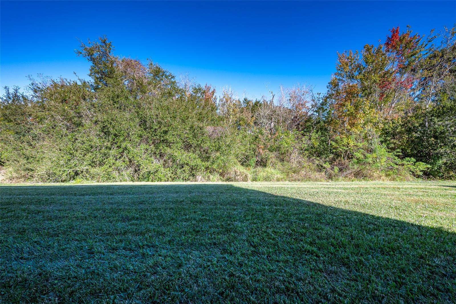Image 11 of 55 For 207 Black Springs Lane