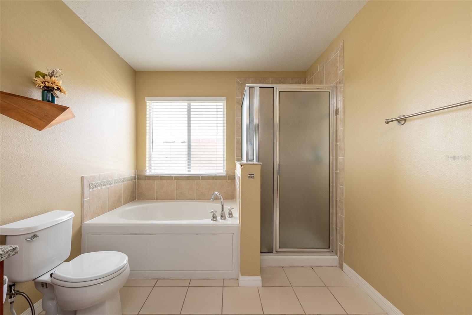 Image 36 of 55 For 207 Black Springs Lane