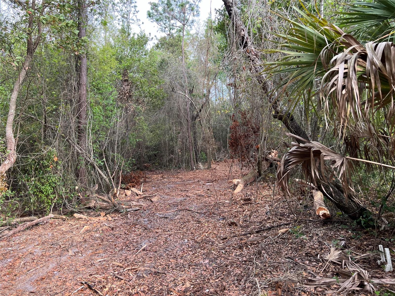 Image 11 of 13 For 4625-4651 Kelly Park Road