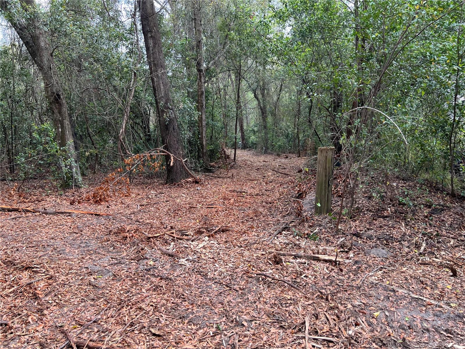 Image 12 of 13 For 4625-4651 Kelly Park Road