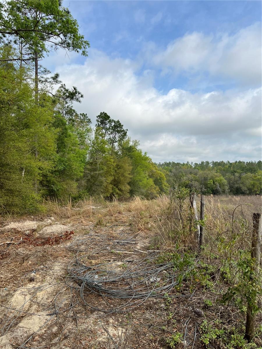 Image 13 of 13 For 4625-4651 Kelly Park Road