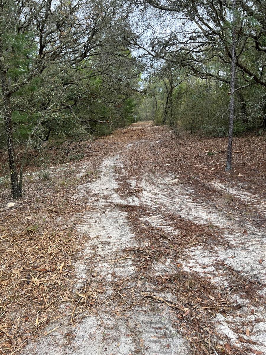 Image 4 of 13 For 4625-4651 Kelly Park Road