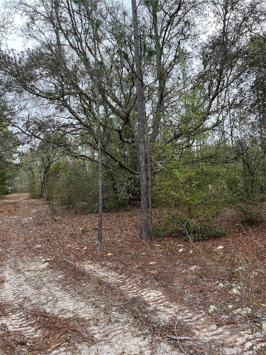 Image 5 of 13 For 4625-4651 Kelly Park Road