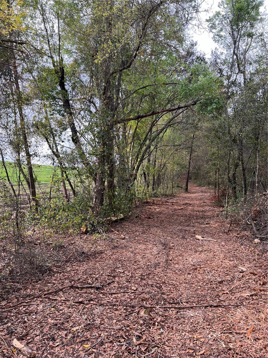 Image 8 of 13 For 4625-4651 Kelly Park Road