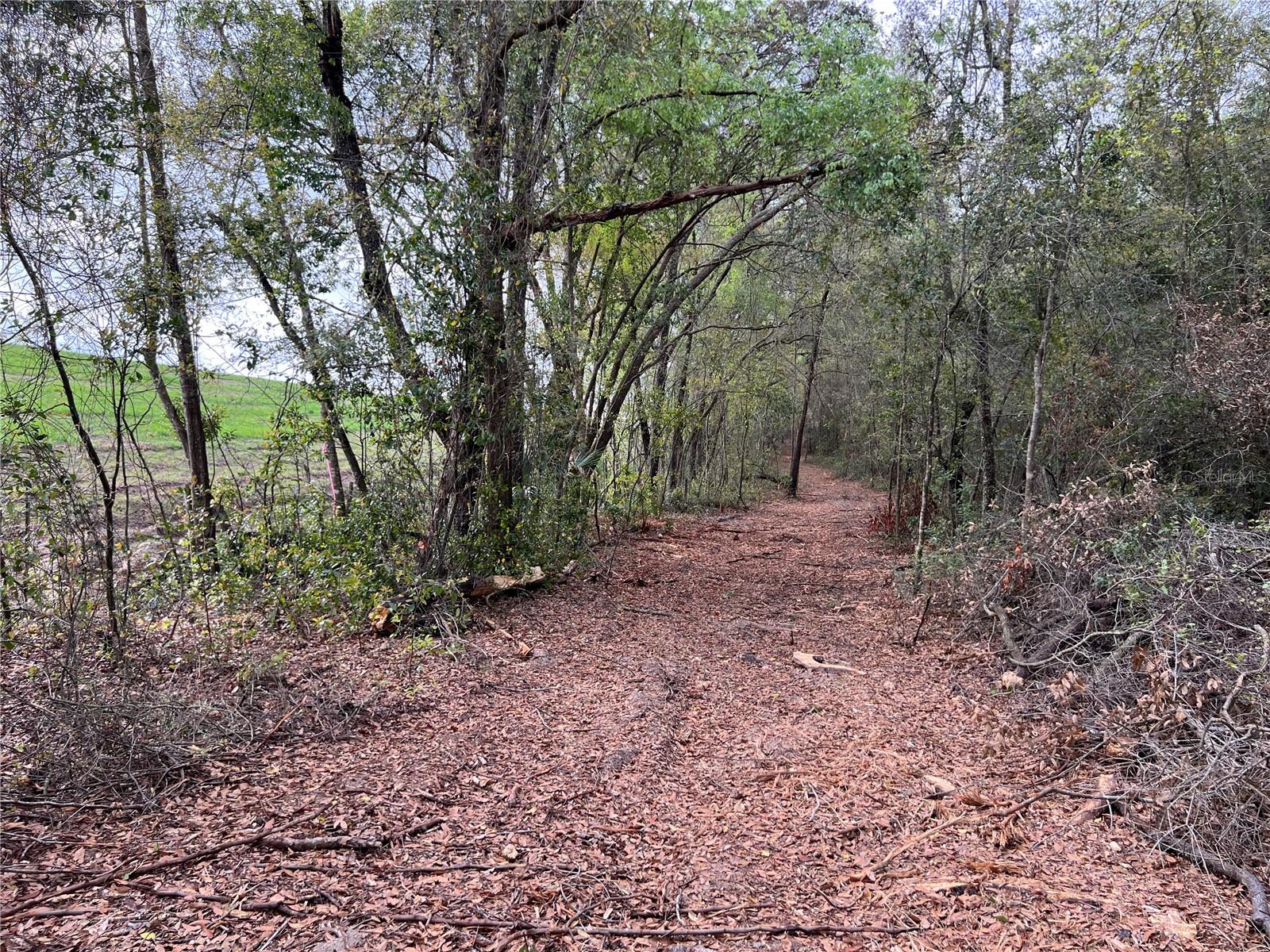Image 9 of 13 For 4625-4651 Kelly Park Road