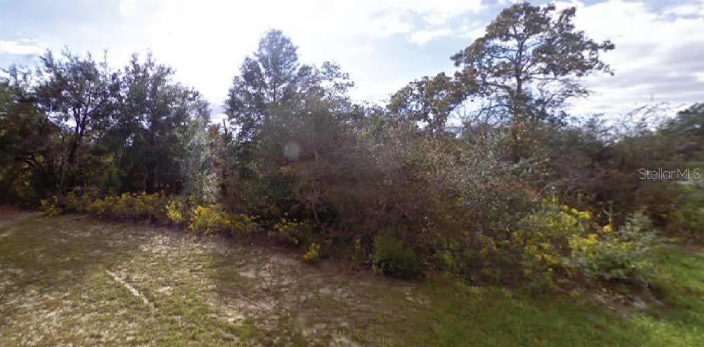 Listing Details for  Beck Court , CHIPLEY, FL 32428