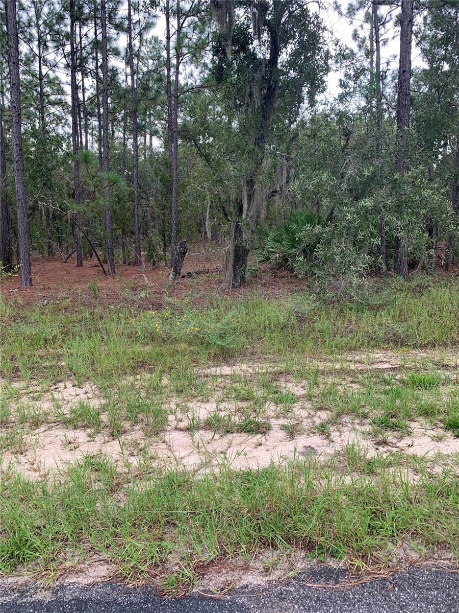 Details for 9898 Lathyrus Terrace, DUNNELLON, FL 34433