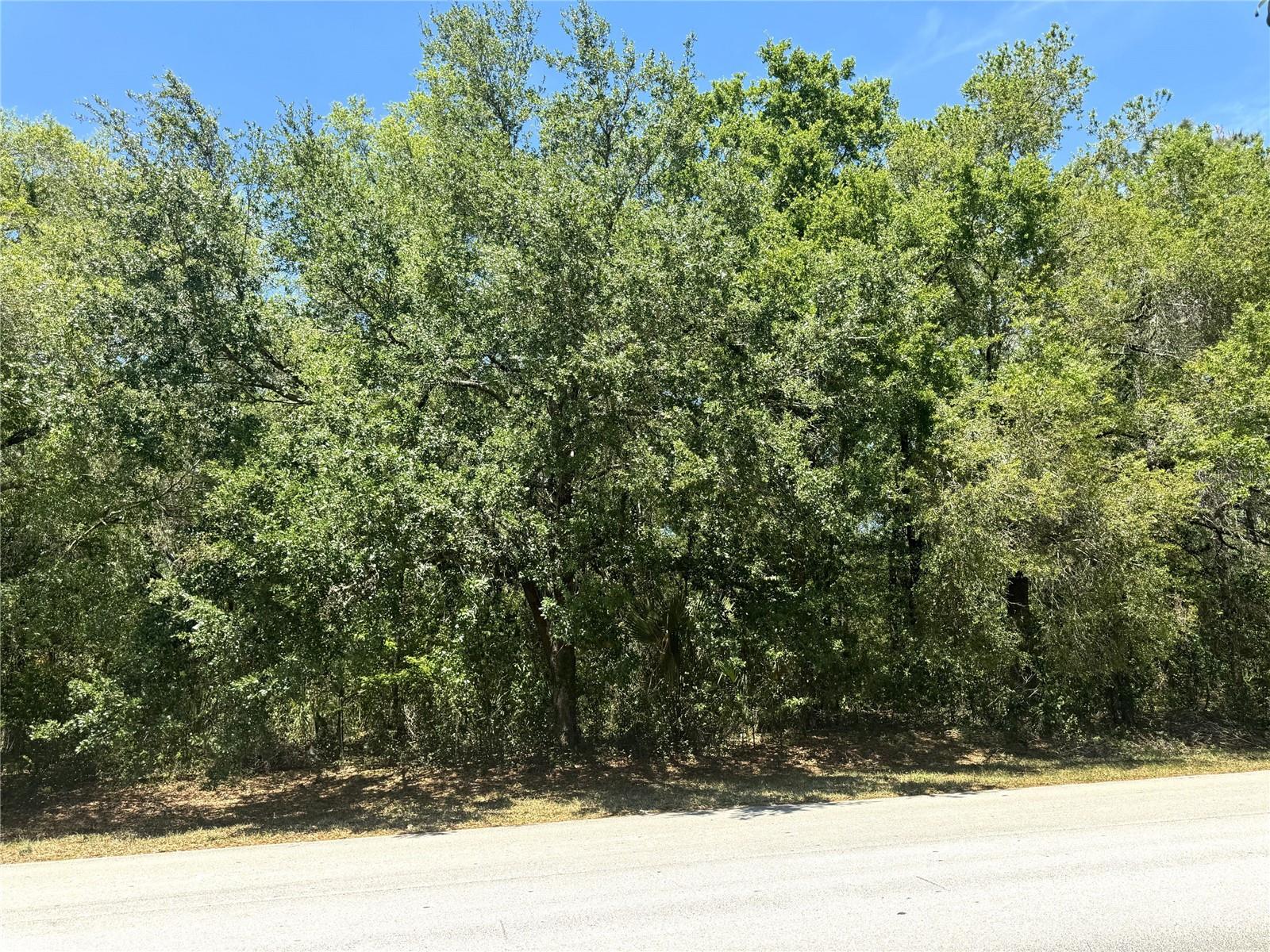 Image 10 of 20 For Markham Woods Road