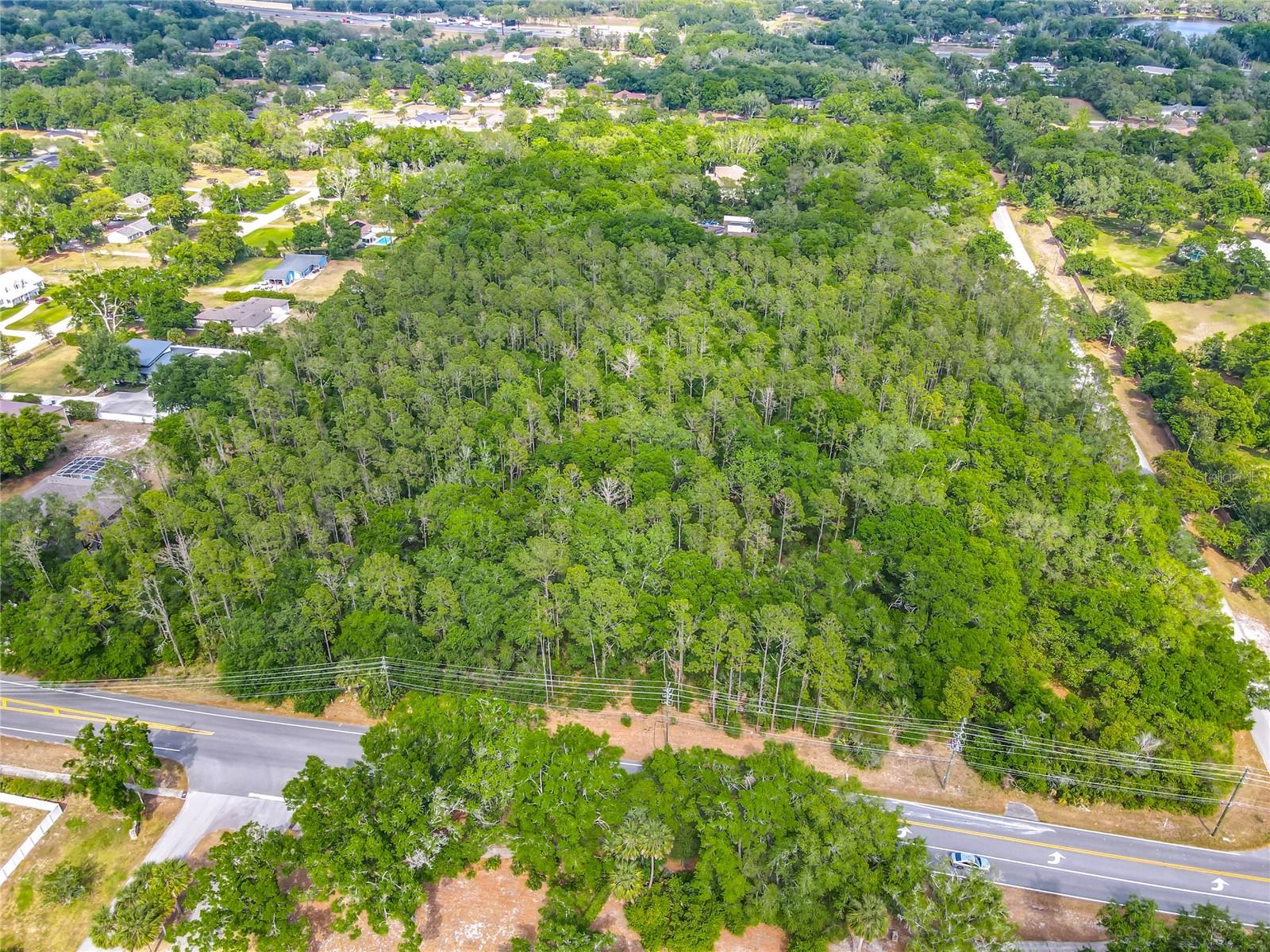 Image 13 of 20 For Markham Woods Road