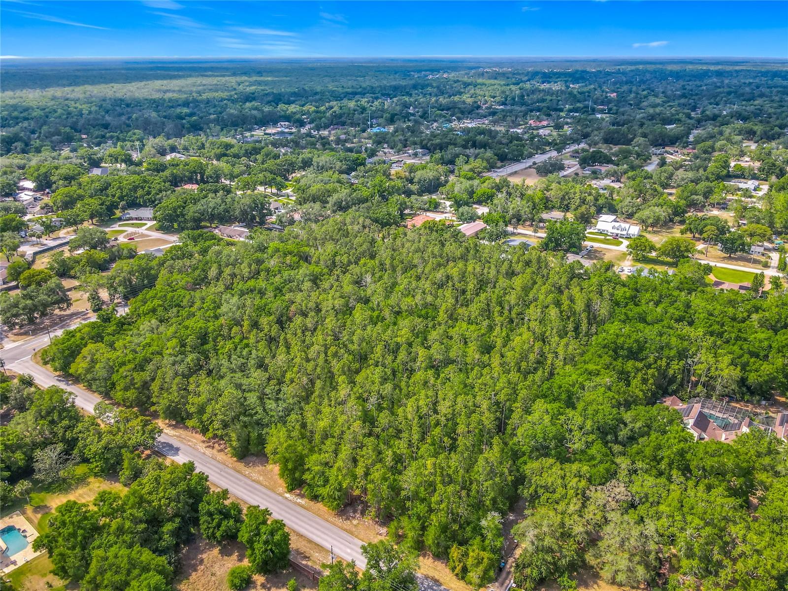 Image 18 of 20 For Markham Woods Road