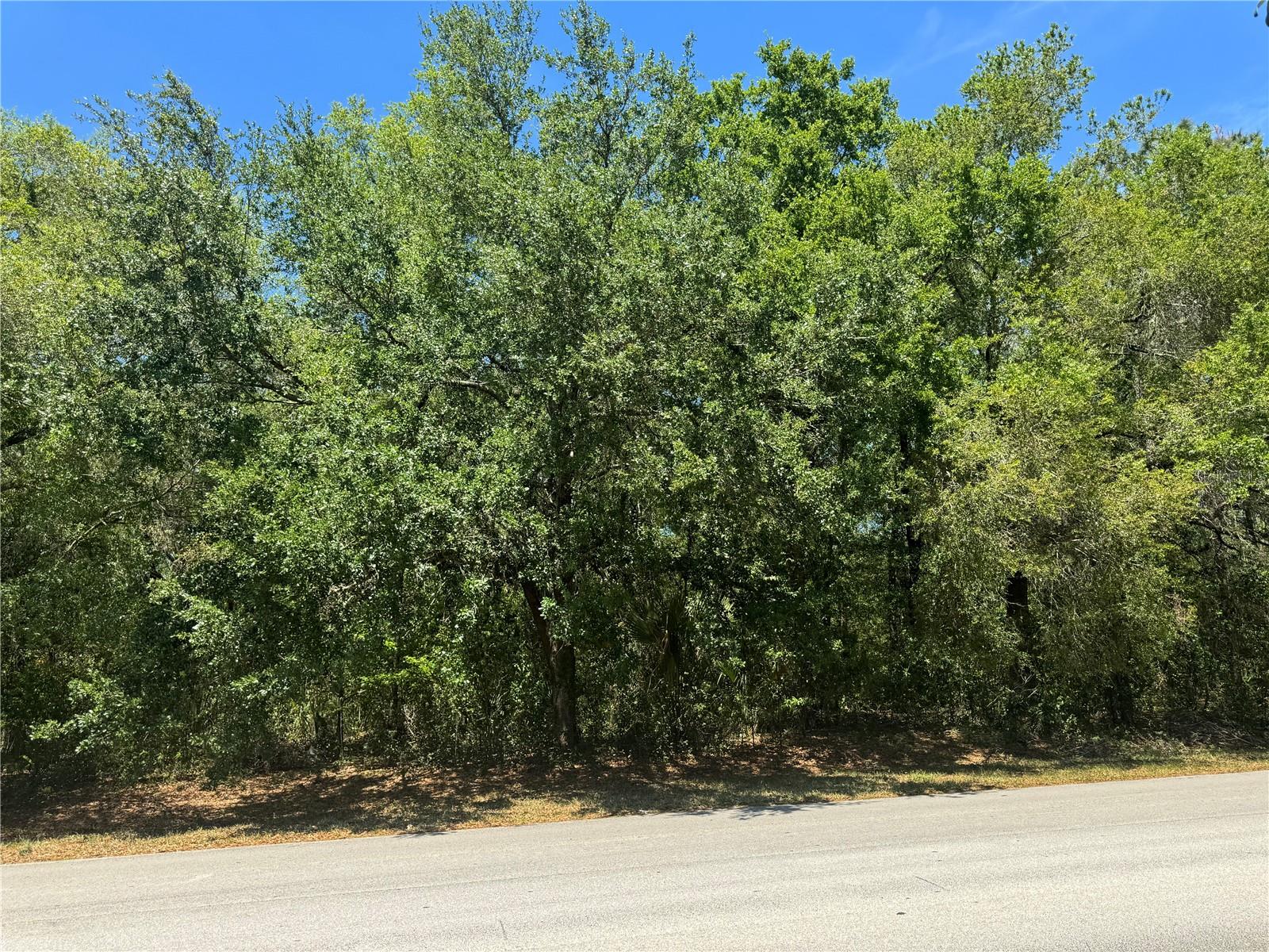 Image 2 of 20 For Markham Woods Road
