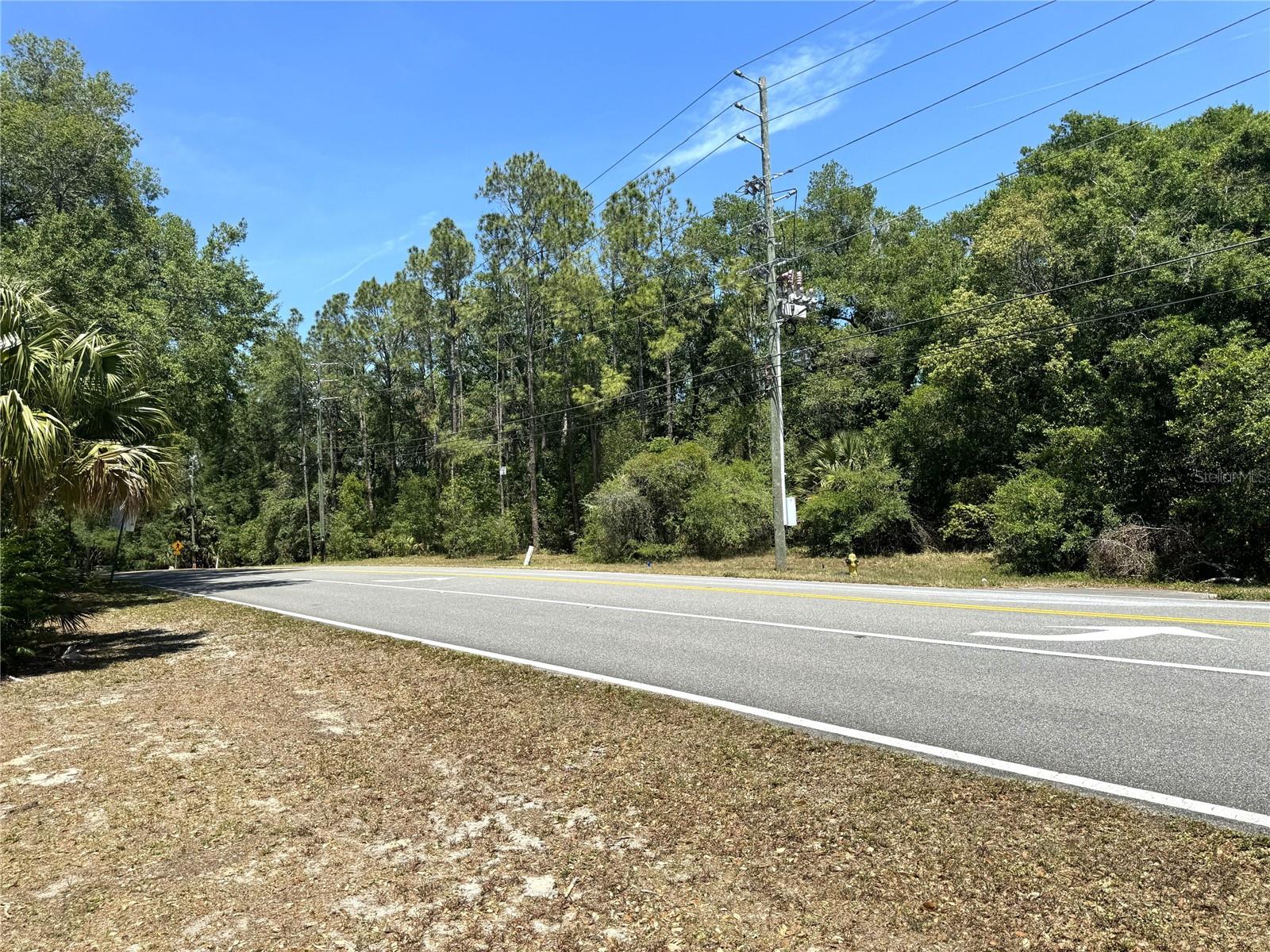 Image 6 of 20 For Markham Woods Road