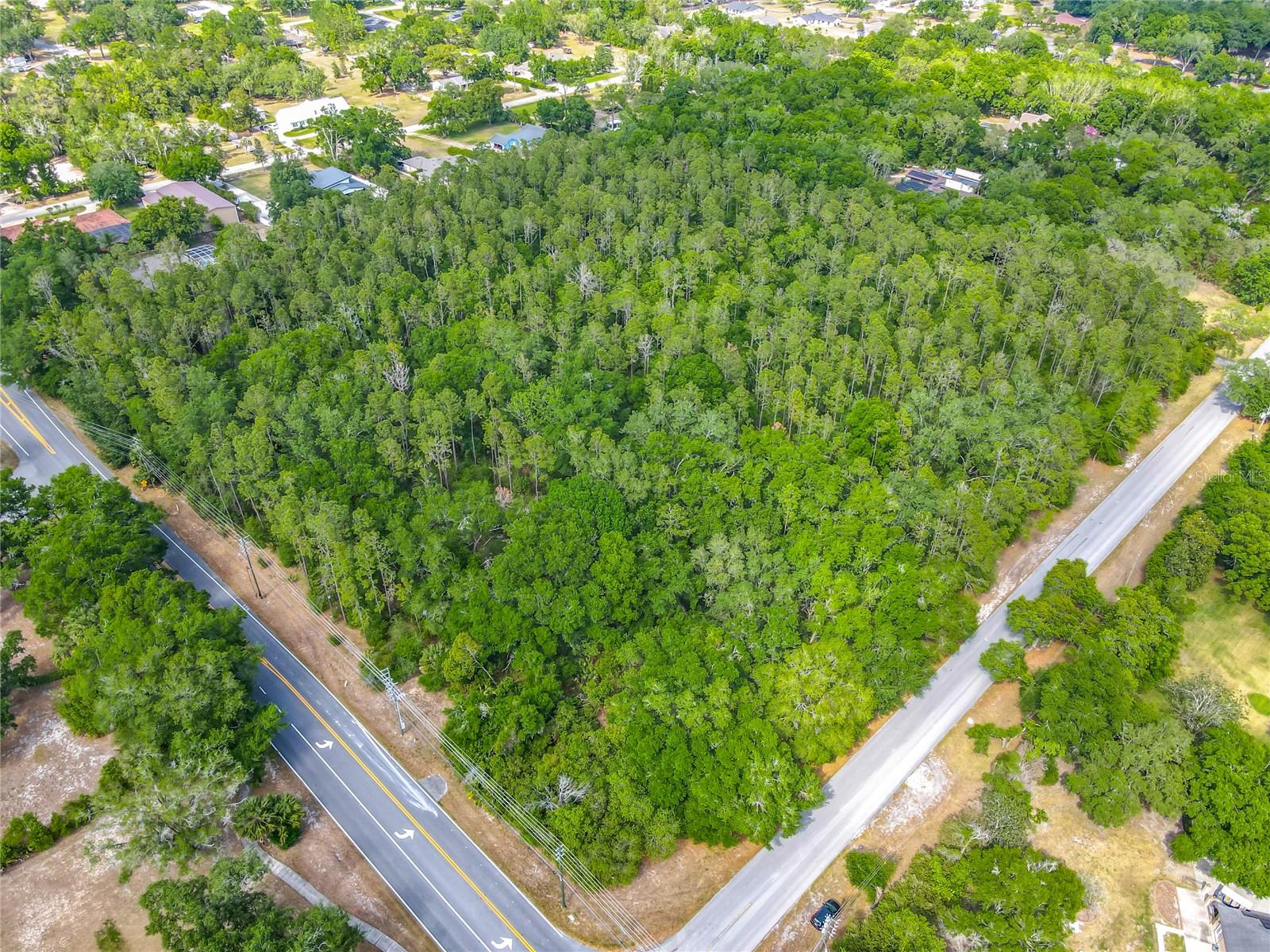 Image 8 of 20 For Markham Woods Road
