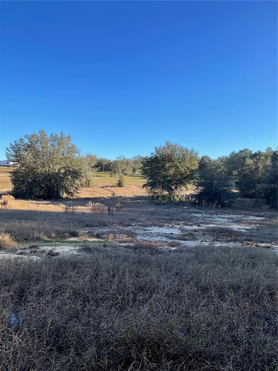 Details for 16805 249th Terrace, UMATILLA, FL 32784
