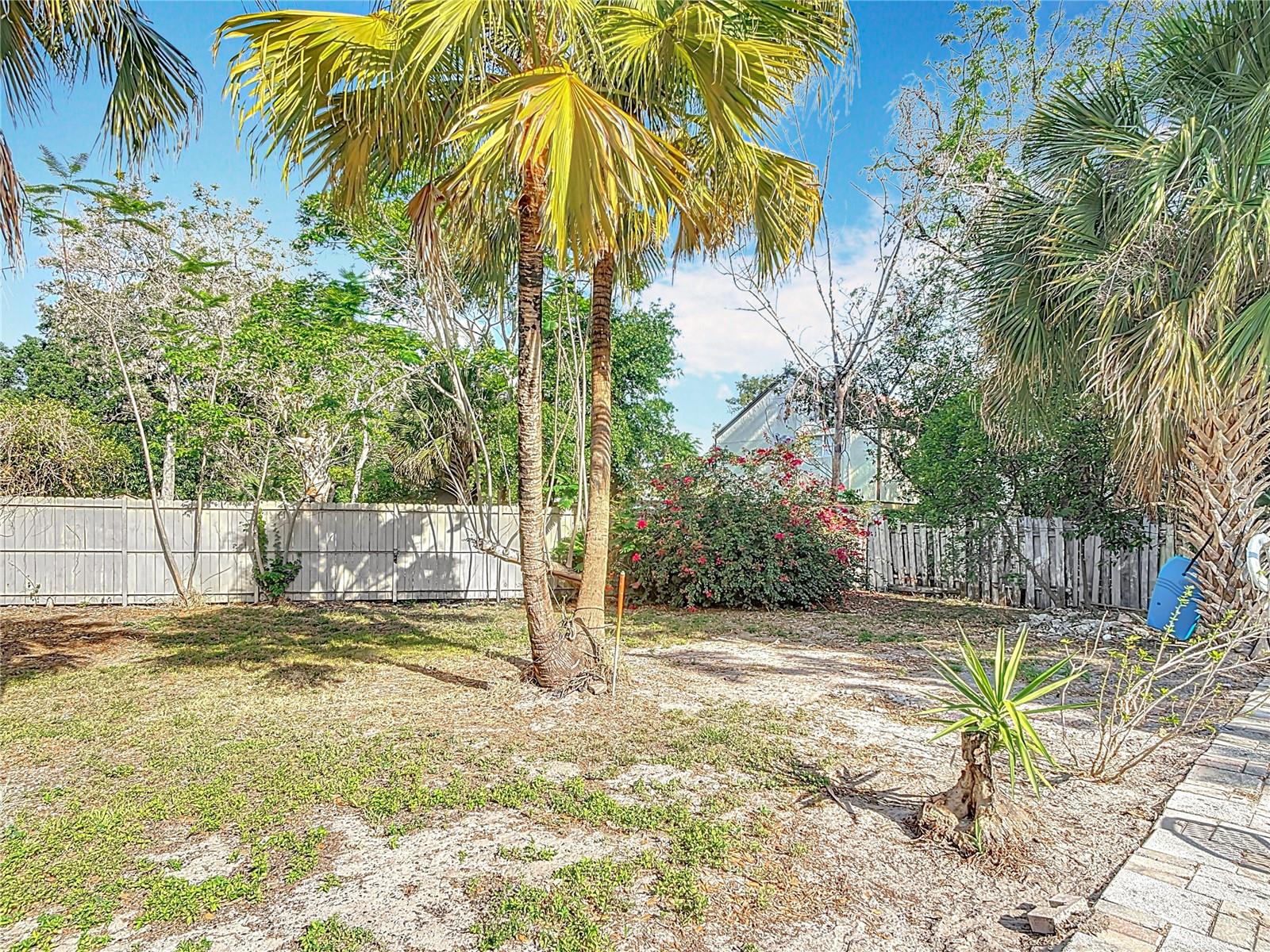 Image 41 of 49 For 1901 Rose Boulevard