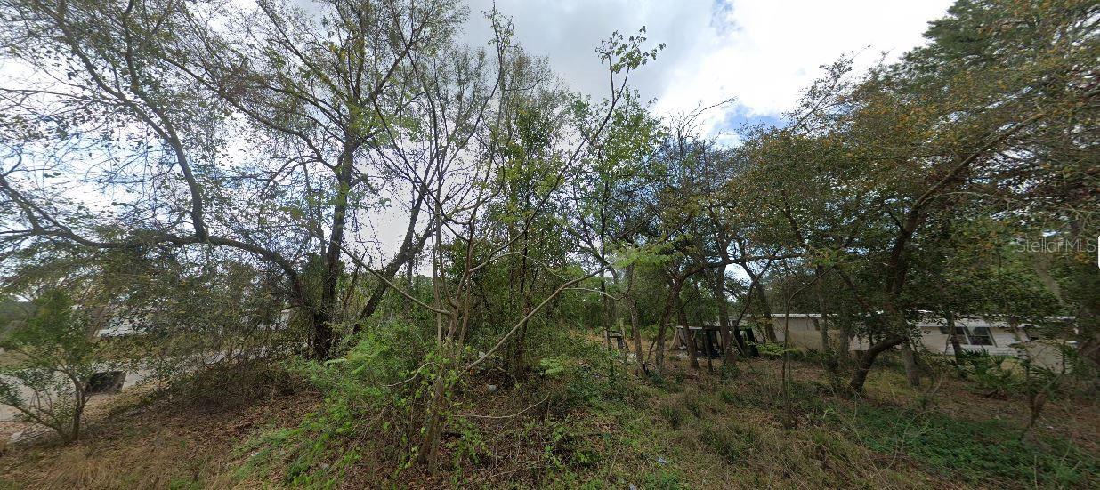Details for Morning View Drive, PAISLEY, FL 32767