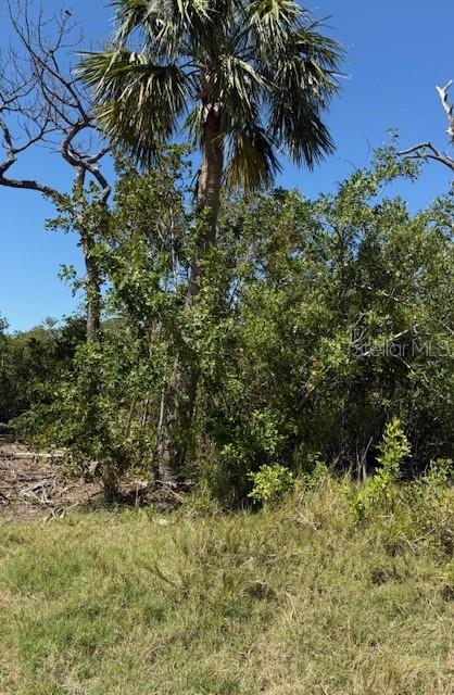 Image 4 of 5 For Sea Breeze Drive