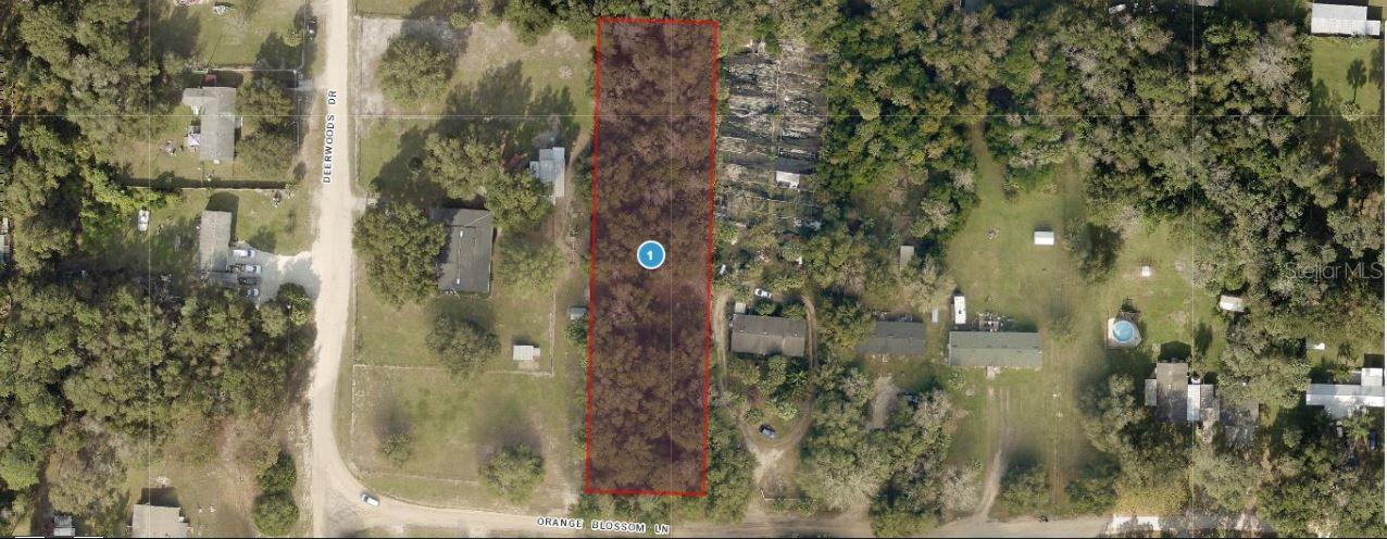 Image 2 of 8 For Orange Blossom Lane