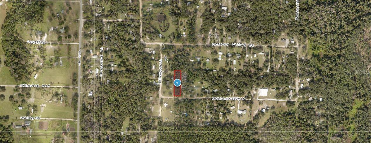 Image 3 of 8 For Orange Blossom Lane
