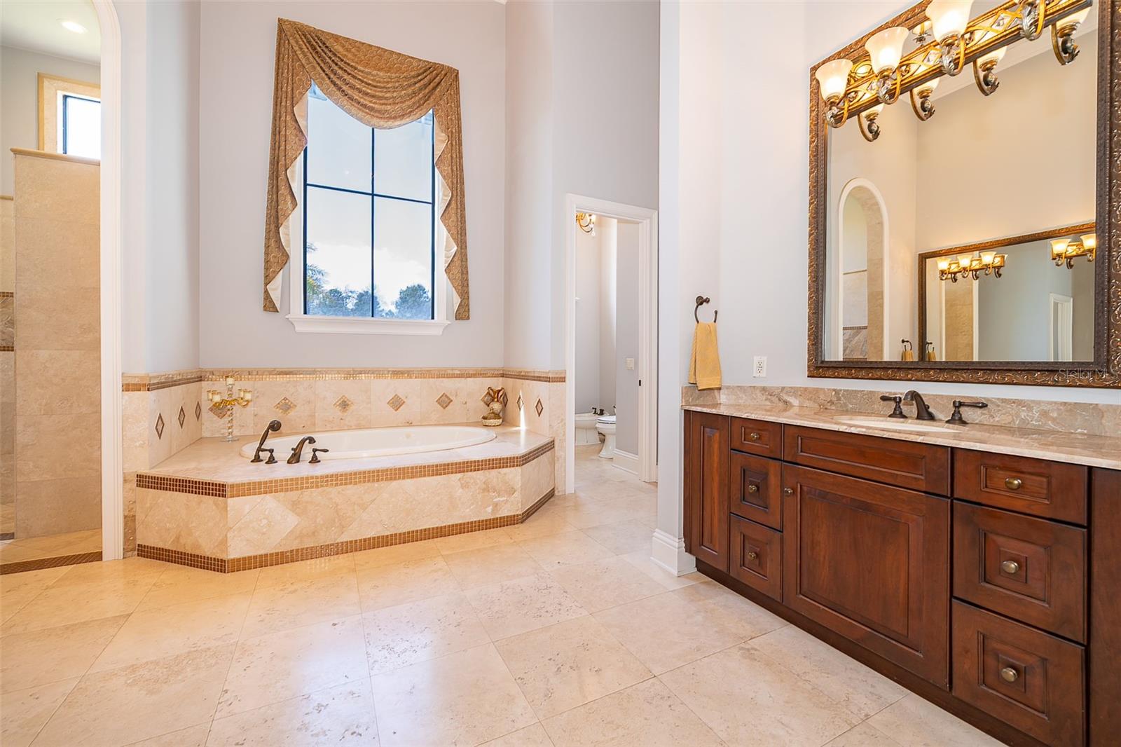 Image 20 of 76 For 16020 Pendio Drive