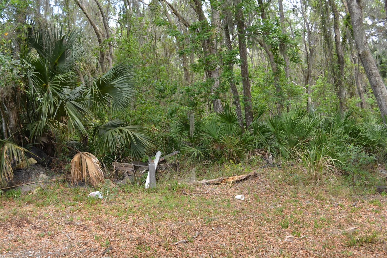 Image 19 of 32 For 1650 Lake Harney Rd
